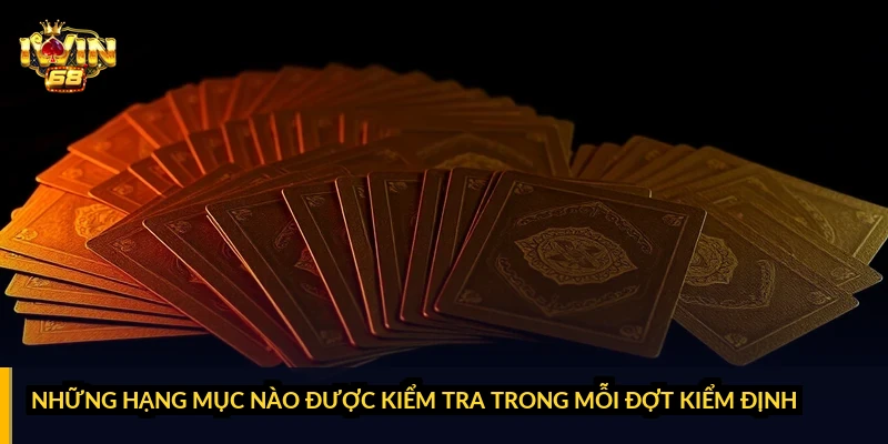 Những hạng mục nào được kiểm tra trong mỗi đợt kiểm định?